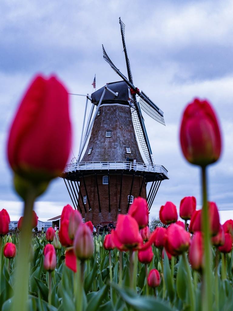 Brown and Black Windmill