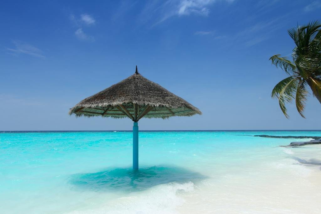 Canopy Near Seashore